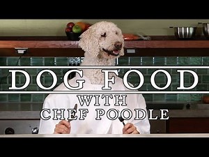 Chef with Poodle Head and Human Body Demonstrates How to Make Meat Loaf Muffins