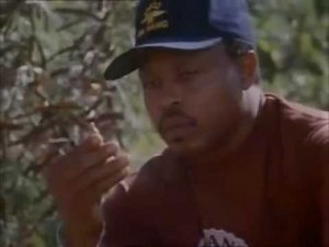 Magnum P.I. - Original Opening