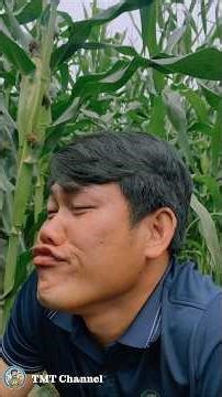 Ải Chỉa Phiên Bản Lầy Lội Nhất Hệ Mặt Trời! 😆😆