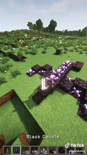 Ender Dragon Building Ideas in Minecraft