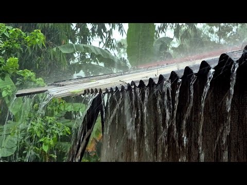 Heavy Rain Sounds for Sleep 🌧️ | Fall Asleep Instantly & Deep Relaxation