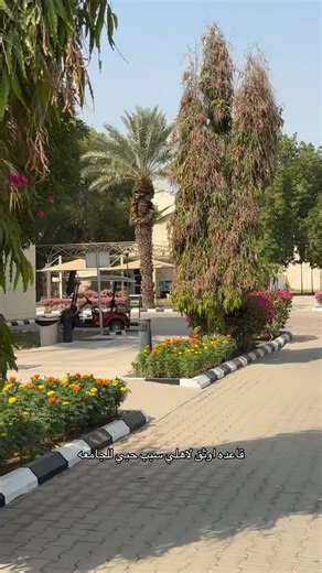 جامعة الملك عبدالعزيز ودورها في تعزيز التعليم