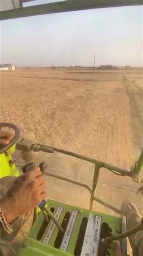 Farming 🌾#trending#ytshorts#youtubeshorts #shorts#combine#farming#farminglife #ytshort#yt