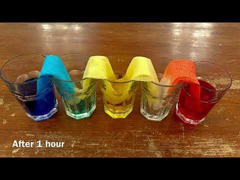 Lets Learn About Capillary Action!