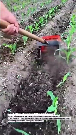 Power Wheel Hoe Cultivator in Action 🚜🔥 #FarmingTools #AgriTech #SoilCare