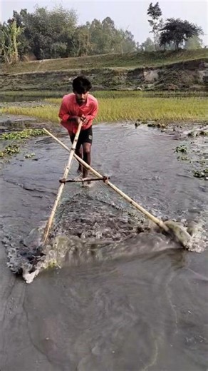 Amazing hand fishing moments make village life more beautiful #handfish