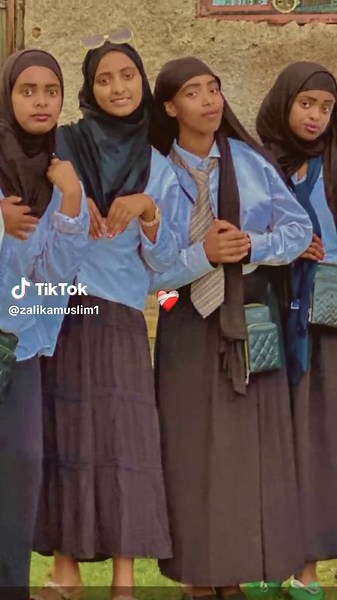 singitan (@zalikamuslim1)’s videos with original sound - Abrsh lyrics🎶