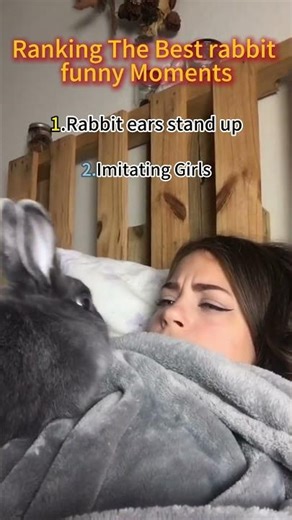 Best rabbit Fail Moments Ranked #shorts #funny #ranked