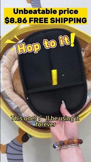 🐾✨ How to Use Electrostatic Gloves for Pet Hair Removal ! Pet Deshedding - Barkermeow✨🐾