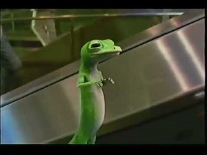 Geico Commercial - August 16, 2007