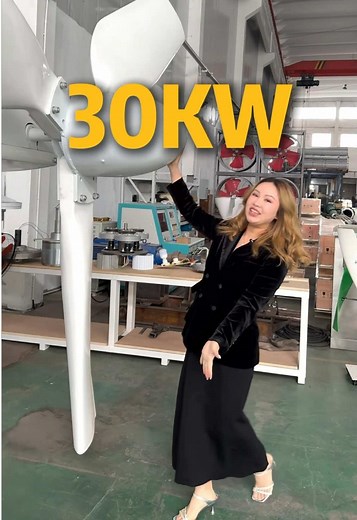 Wind Turbine Factory: 100W-500KW, All Axis Types