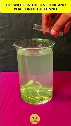 Photosynthesis Experiment - Tamil - Dr Science