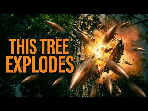 The Exploding Tree Covered in Poison and Spikes