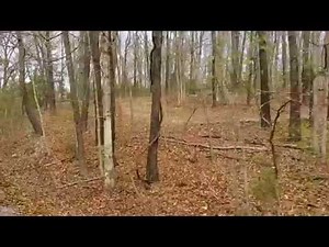 Silver Dollar City Train Ride and Show