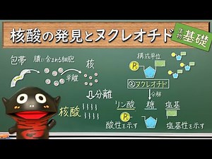 核酸の発見とヌクレオチド【44生物基礎】新課程対応