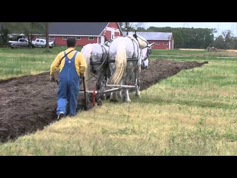 PLOWING WITH HORSES