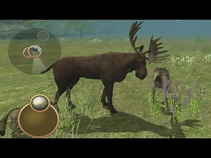 Wild Wolf Simulator 3D Android Gameplay