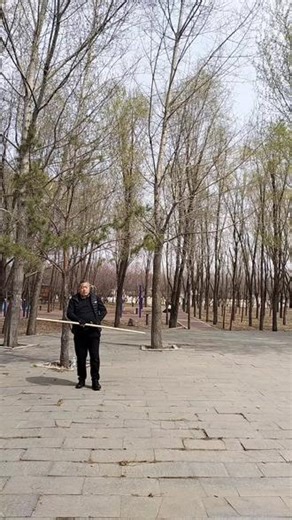 疯魔棍第五课，#长棍武术 #传统武术传承 #武术动作分解教学 走马上印