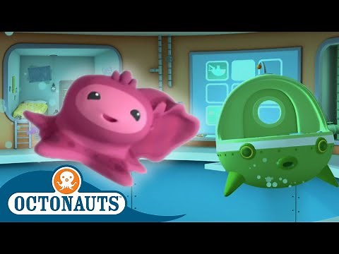 Octonauts - Flooding the Octopod | Cartoons for Kids | Underwater Sea Education