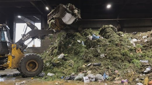 As city considers waste separation bylaw, businesses weigh in