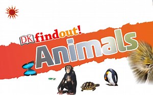 DK里程碑级力作《DK Findout》高清科普动画72集和31本PDF