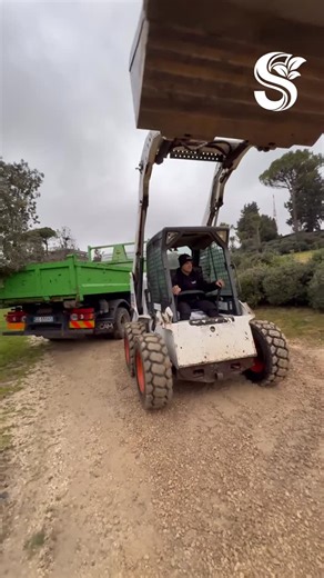 The “Daily Grind” Focus 🔥 Putting the Bobcat S160 through its paces. It’s not just work, it’s an art form. Rate this setup from 1 to 10! 💪🏻 #asmr #bobcat #earthmoving #worklife #oddlysatisfying | Smaltitaly
