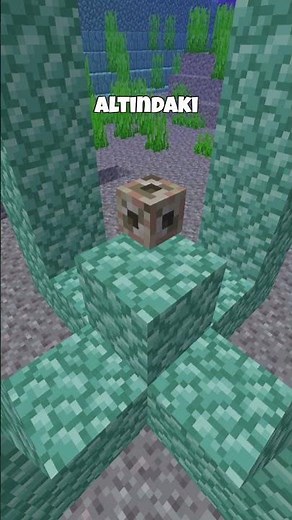 MİNECRAFT DENİZİN KALBİ NE İŞE YARAR #shorts #keşfet #minecraft #keşfet #minecrafttutorial #mcpe