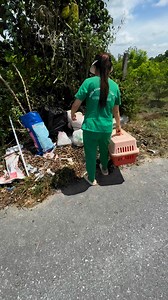 46K views · 860 reactions | Cat Rescue - See the full story on our facebook page #PetRescue #DogRescue #CatRescue #AdoptDontShop #AnimalRescue #RescuePets #SaveTheAnimals #AdoptAPet #FosterPets #RescueDogs #RescueCats #AdoptablePets #RescueAnimals #AnimalShelter #PetAdoption | LTT Animals | Facebook