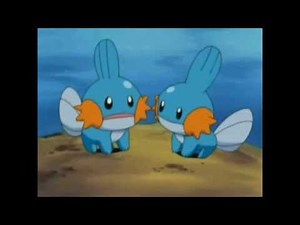 So I heard you like Mudkips? (Going Quantum) Dubkips?