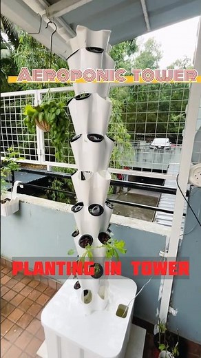 Planting Seedlings in the Aeroponic Tower 🌱🛠️