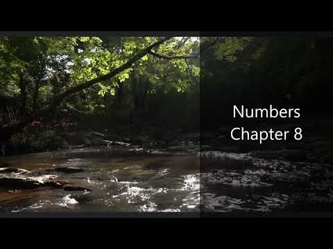 The Book of Numbers Chapter 8 - New King James Version (NKJV) - Audio Bible