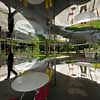 Serpentine Pavilion 2009: SANAA, Architects - e-architect