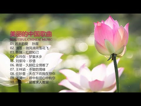 美丽的中国音乐 [ Beautiful Chinese music ] 孙露 - 迟来的爱 | 滴答 - 微风滴雨落花飞 | 陈瑞 - 红颜知己 | 张玮伽 - 梦里水乡 | 刘紫玲 - 珍惜