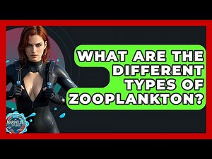 What Are The Different Types Of Zooplankton? - The Marine Life Explorer