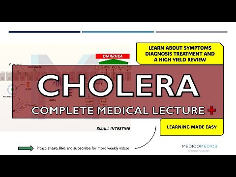 Cholera (Vibrio cholerae) | Pathophysiology, Symptoms, Diagnosis & Treatment