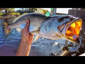 Trolling Vs. Casting for Speckled Trout (Who Will Win?!)