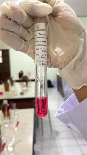 Equilibrium study of a methyl red indicator solution #science #chemistry #experiment #chemistrylab