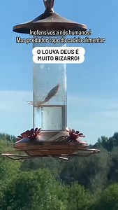 48K views · 1.4K reactions | Visite nossa loja de escultura e...