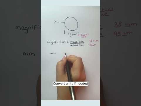 01. Magnification Formula #short