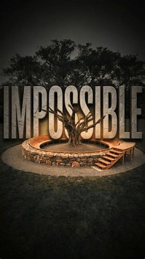 Building A Circular Seating Around A Tree From Scratch