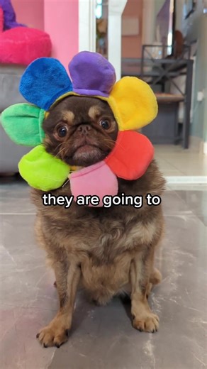 Always Be on the Lookout Memes Compilation