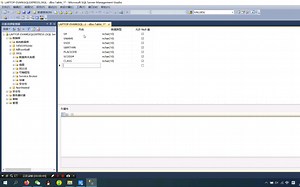 【（给小样做的）教程】SQL SERVER操作视频