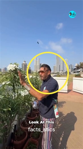 जैकी श्रॉफ 4 एकड़ में फैला फार्म हाउस में आधुनिक बांग्ला बनाने के बजाई मिनी जंगल बना डाला#shortvideo
