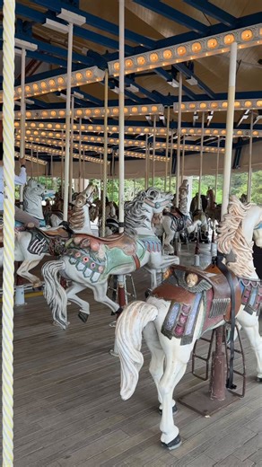 八景島シーパラダイス🦭マツケンサンバコラボなのに、メリーゴーランド🎠だけ、暴れん坊将軍だったのこだわり凄くて感心しました😇✨白馬だからね。