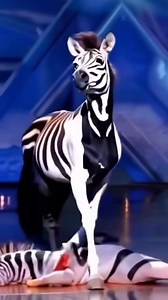 The Giraffe Was the Best!! 🤣🤣🤣🦒 | Animal Lovers