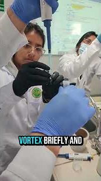 TELT PROTOCOL FOR RECOMBINANT PLASMID EXTRACTION - GEN. ENG. UCSM 2025