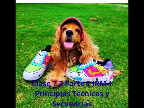 Clase 7.2 Parte 2 IRM 1 Principios Técnicos y Secuencias