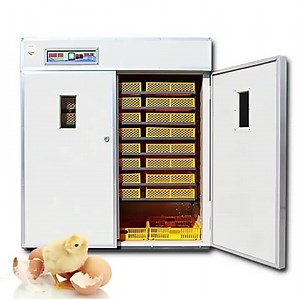 GREAT FARM Automatic Egg Incubators 528 Eggs Chicken Automatic Computer Control Incubator