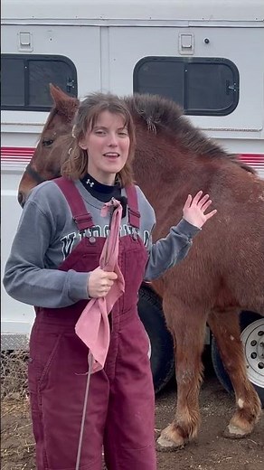 Does Your Horse Kick When Tied?