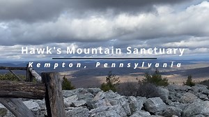 Hawk Mountain Sanctuary is an international center for raptor conservation, education, observation and research, located in Kempton, PA. This area is the world's largest member-supported raptor conservation organization and one of the best places to view hawk migration | Wandering Out Yonder